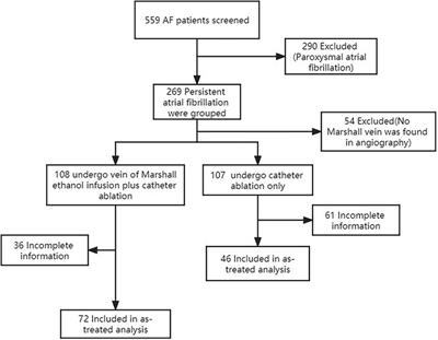 Clinical effect of vein of Marshall ethanol infusion on mitral isthmus ablation